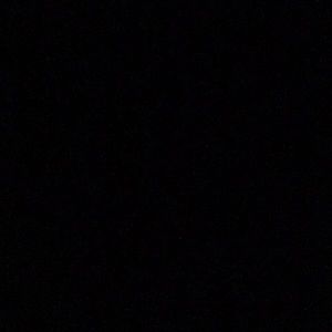 Meet your Posher, Audrey